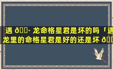 遇 🕷 龙命格星君是坏的吗「遇龙里的命格星君是好的还是坏 🐕 的」